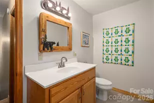28 Froggy Bottom Trail, Canton, NC 28716 - Photo 30