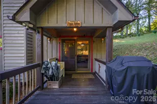 28 Froggy Bottom Trail, Canton, NC 28716 - Photo 46