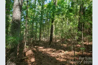 00 Holly Haven Court #1, Mills River, NC 28759 - Photo 8