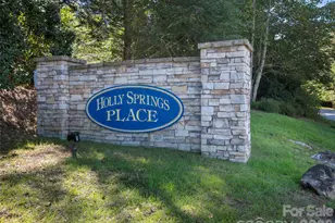 00 Holly Haven Ct, Mills River, NC 28759 - Photo 1