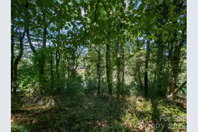 00 Holly Haven Court #1, Mills River, NC 28759 - Photo 6