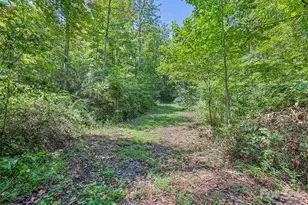 10435 White Oak Rd, Waynesville, NC 28785 - Photo 48
