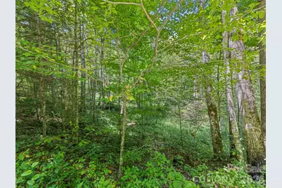 10435 White Oak Road, Waynesville, NC 28785 - Photo 46