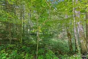 10435 White Oak Rd, Waynesville, NC 28785 - Photo 46