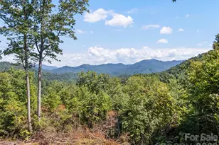 10435 White Oak Rd, Waynesville, NC 28785 - Photo 32