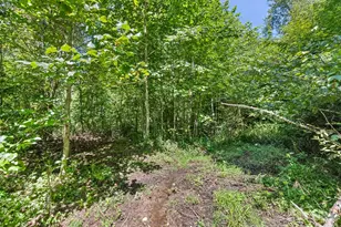 10435 White Oak Rd, Waynesville, NC 28785 - Photo 40