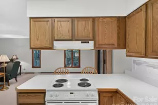 64 Surrey Ln, Brevard, NC 28712 - Photo 16