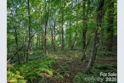 189 Odonald Road #Lot 3, Asheville, NC 28806 - Photo 12