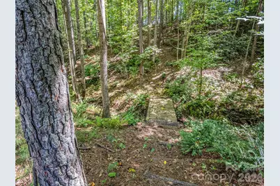 168 Chasewood Drive, Rutherfordton, NC 28139 - Photo 36