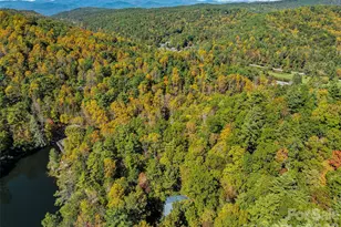 375 Robin Hood Rd, Brevard, NC 28712 - Photo 48