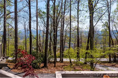 39 Tatham Road, Hendersonville, NC 28792 - Photo 34