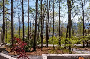 39 Tatham Rd, Hendersonville, NC 28792 - Photo 34
