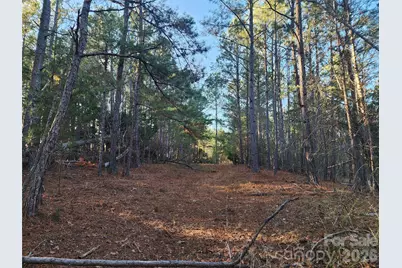 1350 McKnight Road, Smyrna, SC 29743 - Photo 22
