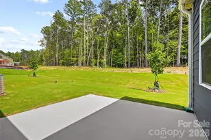 567 Cottage Gdn Ln, Belmont, NC 28012 - Photo 26