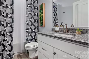 33 Westside Vlg Rd, Fairview, NC 28730 - Photo 16