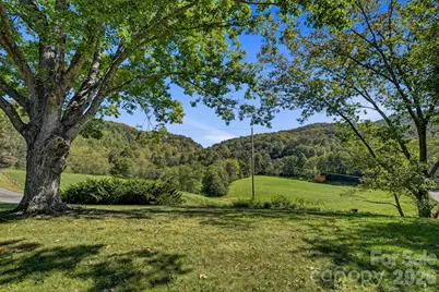 1145 Coleman Mountain Road, Waynesville, NC 28785 - Photo 8