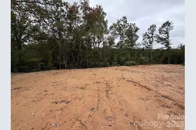 V/L W V Thompson Road, Rutherfordton, NC 28139 - Photo 8