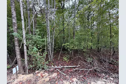 V/L W V Thompson Road, Rutherfordton, NC 28139 - Photo 2