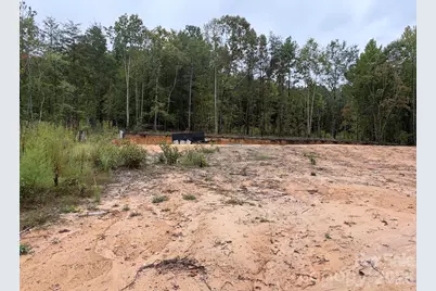 V/L W V Thompson Road, Rutherfordton, NC 28139 - Photo 18