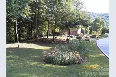 270 Somersby Parkway, Laurel Park, NC 28739 - Photo 2