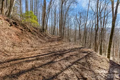 Tbd Happy Ridge Lane, Sylva, NC 28779 - Photo 6