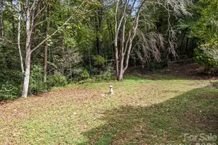 177 Mica Ridge, Sylva, NC 28779 - Photo 6