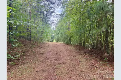 V/L Grandview Loop #376, Nebo, NC 28761 - Photo 6