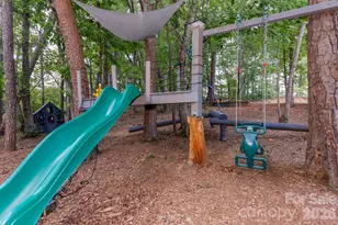 191 Briarwood Dr, Rutherfordton, NC 28139 - Photo 44