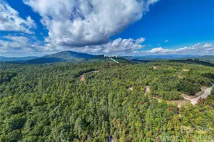 73 Toxaway Vws Dr, Lake Toxaway, NC 28747 - Photo 26