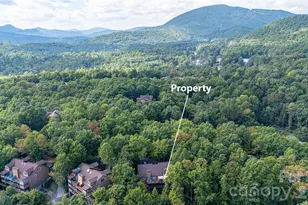 73 Toxaway Vws Dr, Lake Toxaway, NC 28747 - Photo 28
