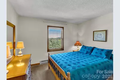 110 Atari Road, Waynesville, NC 28786 - Photo 14