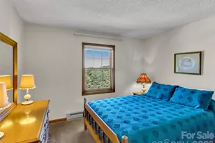 110 Atari Rd, Waynesville, NC 28786 - Photo 14