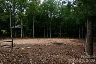 180 Cinnamon Way, Flat Rock, NC 28731 - Photo 1