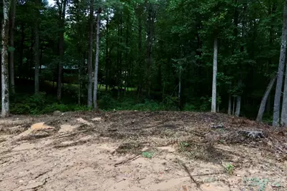 180 Cinnamon Way #22, Flat Rock, NC 28731 - Photo 16