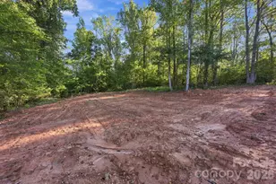 3637 Nc 10 Hwy E, Claremont, NC 28610 - Photo 20