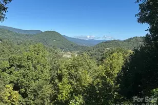 927 Henry Dingus Way, Maggie Valley, NC 28751 - Photo 12