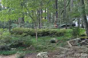 19 Springwood Dr, Asheville, NC 28805 - Photo 42