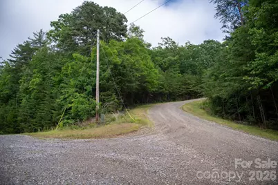 0000 Wheel Team Trail #44, McGrady, NC 28649 - Photo 44