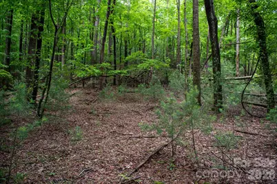 0000 Wheel Team Trail #44, McGrady, NC 28649 - Photo 6