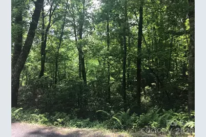 99999 Galax Lane #B-12, Brevard, NC 28712 - Photo 14