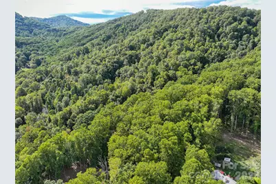000 Mauney Cove Road, Waynesville, NC 28786 - Photo 4