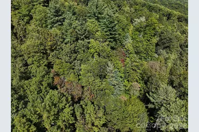 000 Mauney Cove Road, Waynesville, NC 28786 - Photo 10