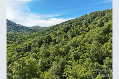 000 Mauney Cove Road, Waynesville, NC 28786 - Photo 8