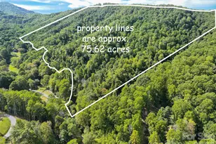 000 Mauney Cove Rd, Waynesville, NC 28786 - Photo 1