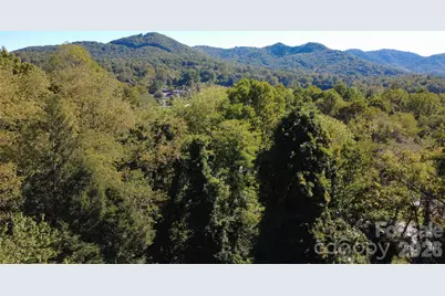 216 Vance Avenue, Black Mountain, NC 28711 - Photo 34