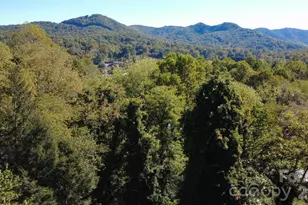 216 Vance Ave, Black Mountain, NC 28711 - Photo 34