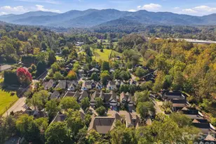 29 Beekeeper Trail, Swannanoa, NC 28778 - Photo 40
