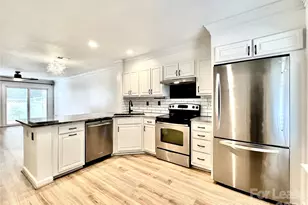 10132 Reindeer Way Ln, Charlotte, NC 28216 - Photo 6