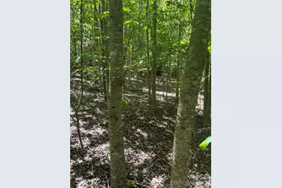 0 E Pine Hill Avenue, Morganton, NC 28655 - Photo 20