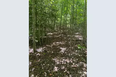 0 E Pine Hill Avenue, Morganton, NC 28655 - Photo 24
